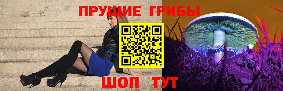 купить   Псилоцибиновые грибы MAGIC MUSHROOMS  Вход с VPN  Тверь 
